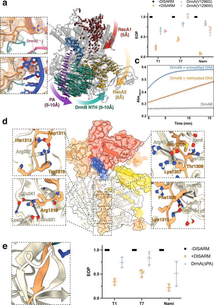 Fig. 4