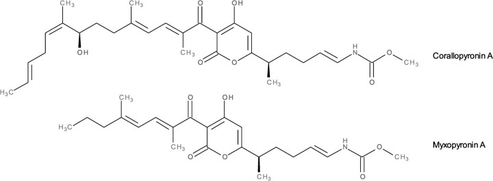 Figure 1.