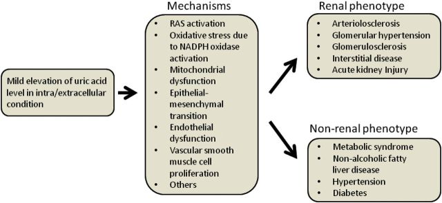 FIGURE 1: