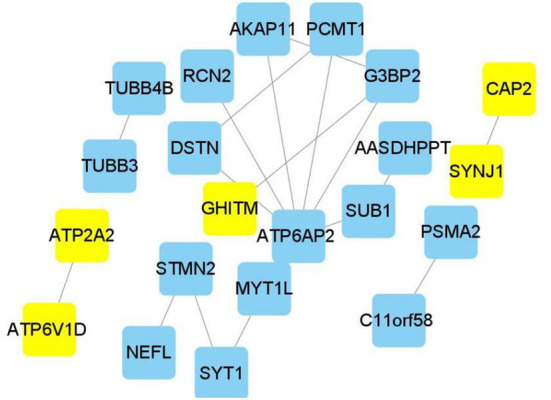 Figure 5