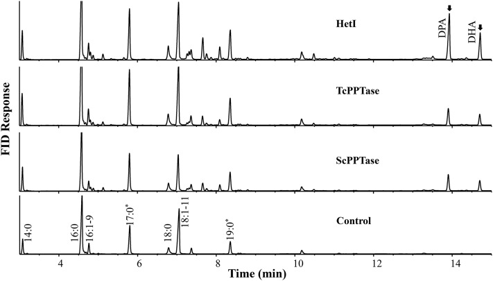 Fig. 8.