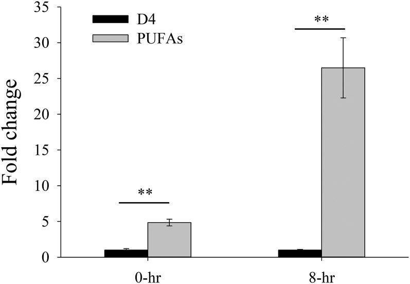 Fig. 9.