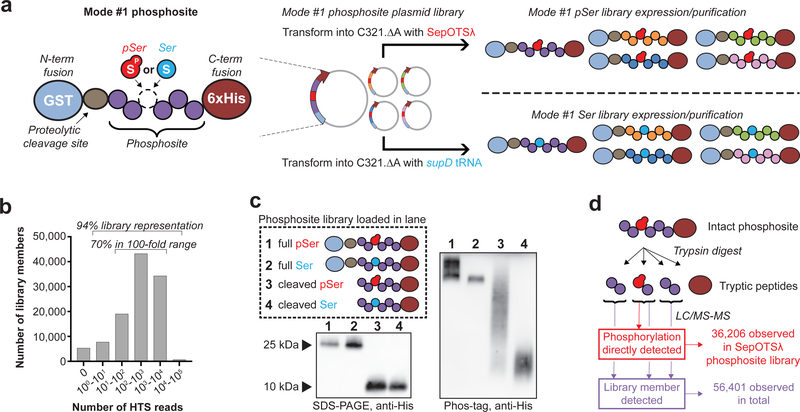 Figure 2: