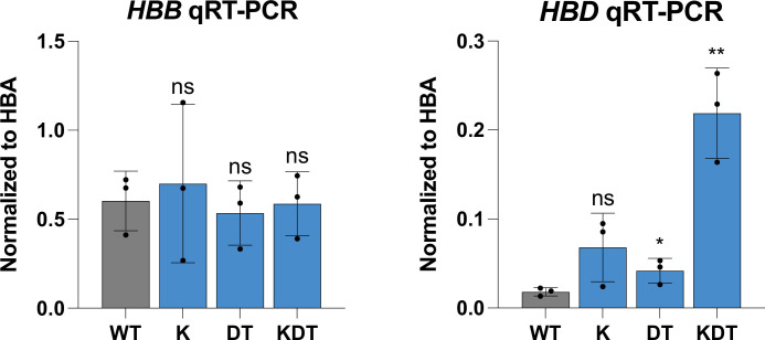 Figure 2—figure supplement 1.