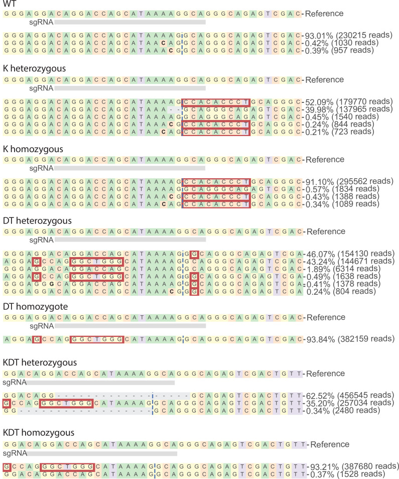 Figure 1—figure supplement 1.