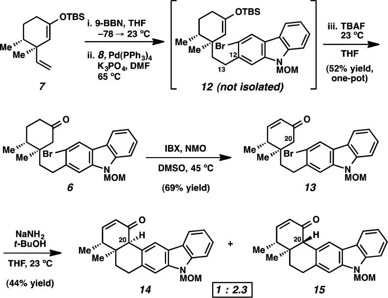 Scheme 2