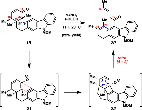 Scheme 4