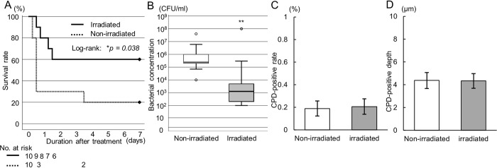 Fig 4