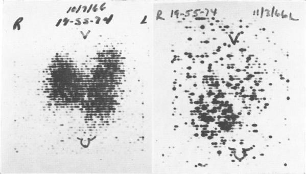 Fig. 3. (a)