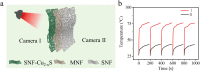Fig. 8