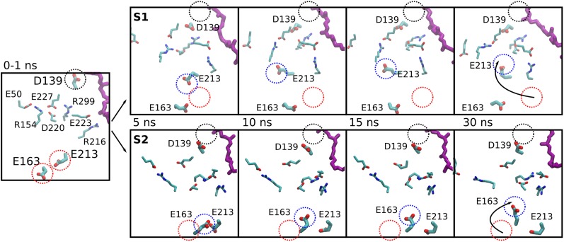 Fig. 6.