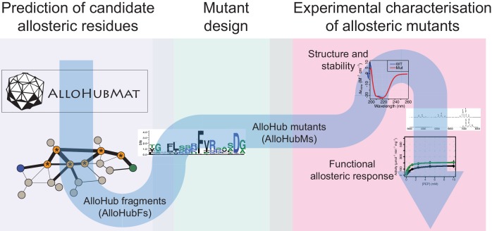 Figure 6—figure supplement 1.