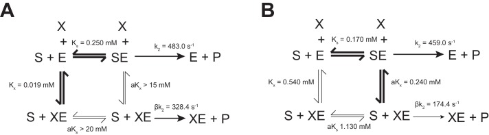 Figure 3—figure supplement 2.