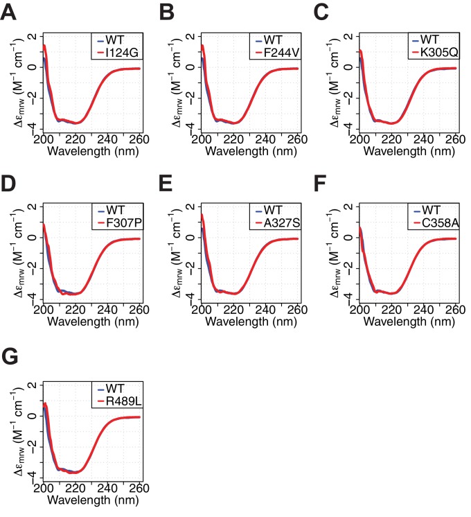 Figure 6—figure supplement 3.