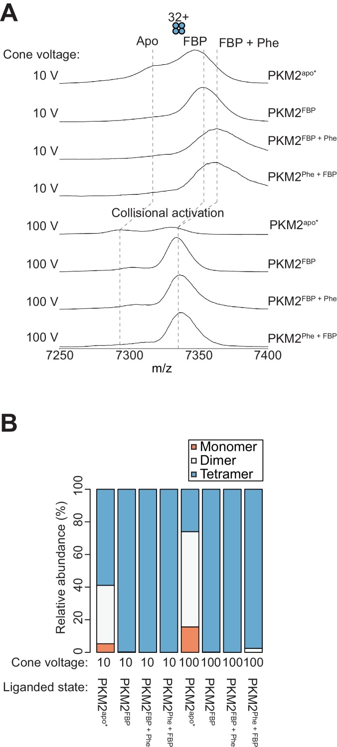 Figure 4—figure supplement 4.