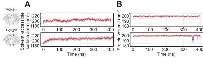 Figure 5—figure supplement 1.