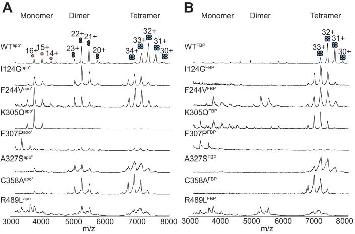 Figure 6—figure supplement 6.