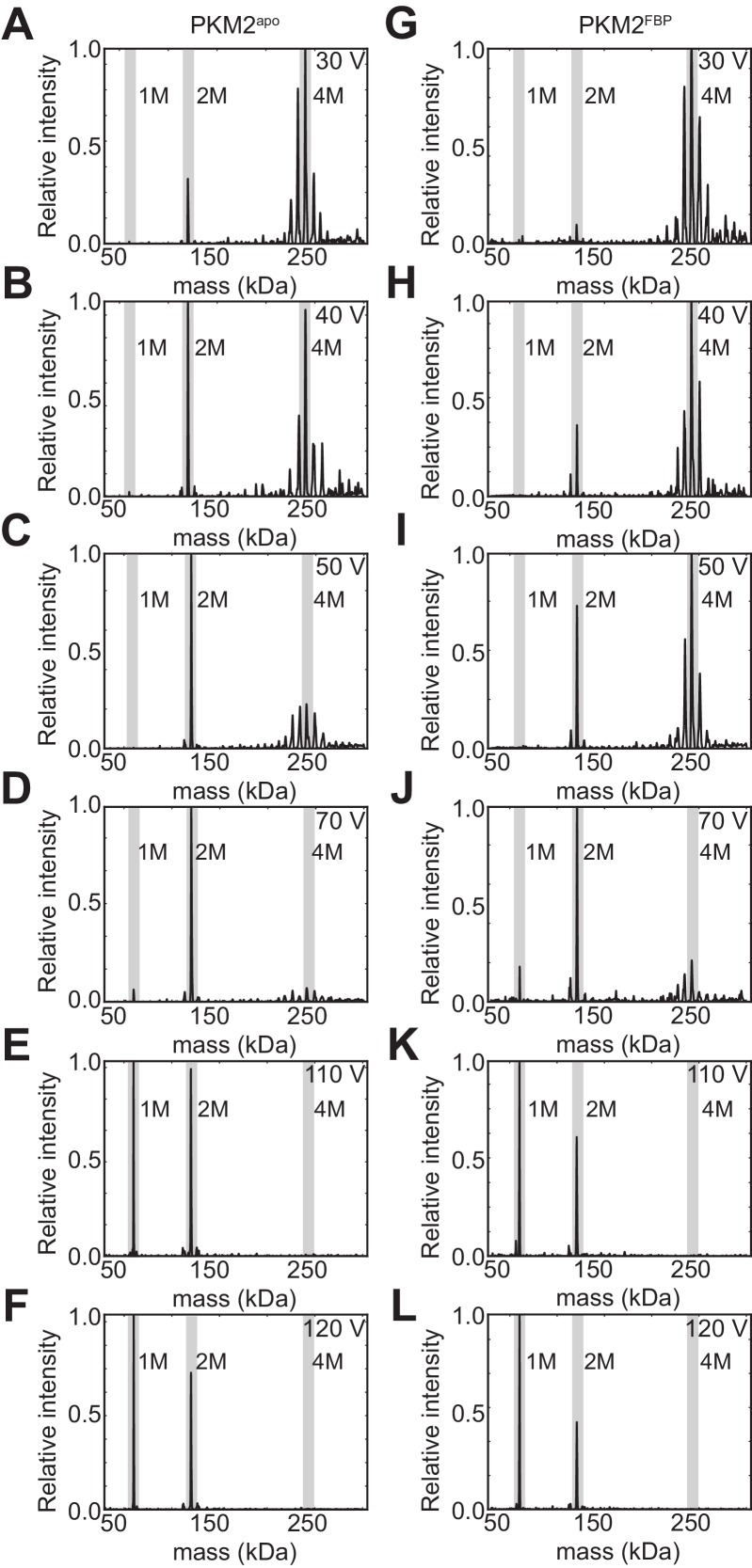 Figure 4—figure supplement 3.