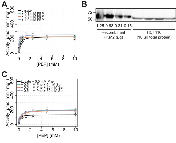 Figure 2—figure supplement 5.