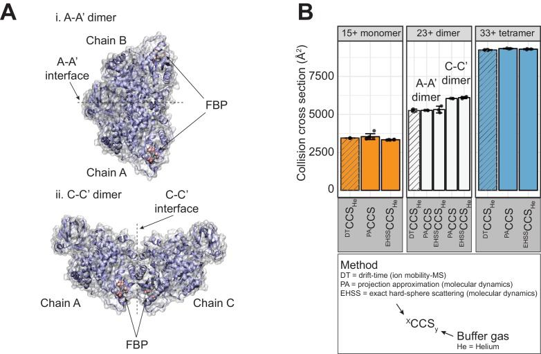 Figure 4—figure supplement 1.