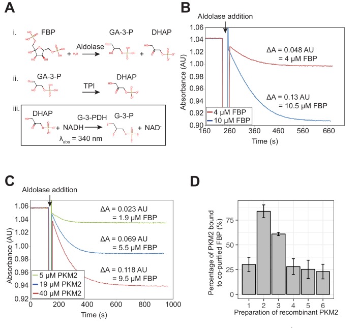 Figure 2—figure supplement 1.