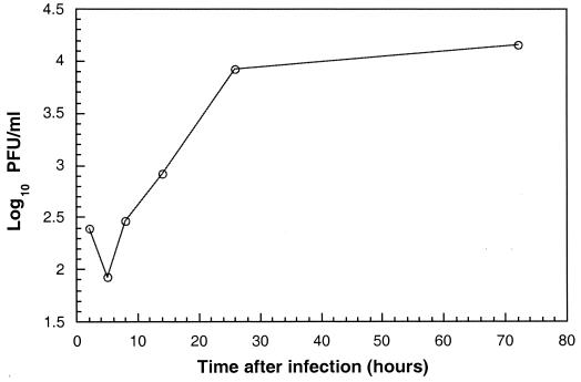 FIG. 1