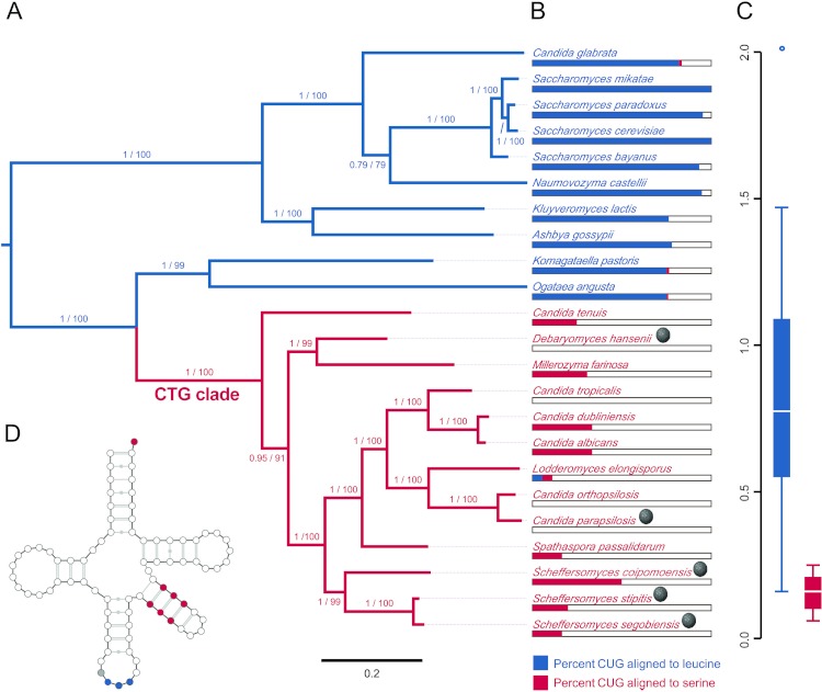 Figure 3