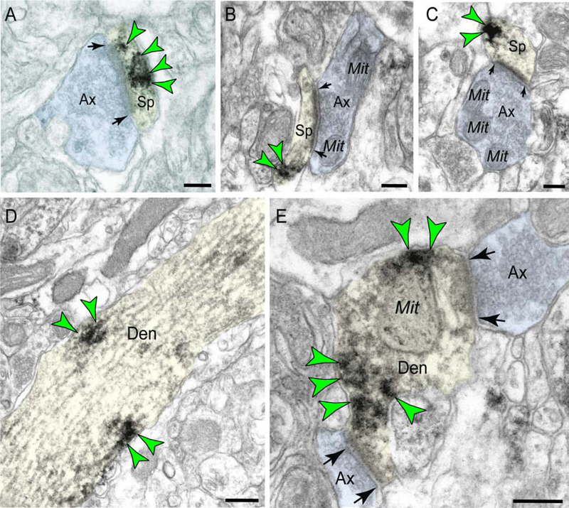 Figure 2: