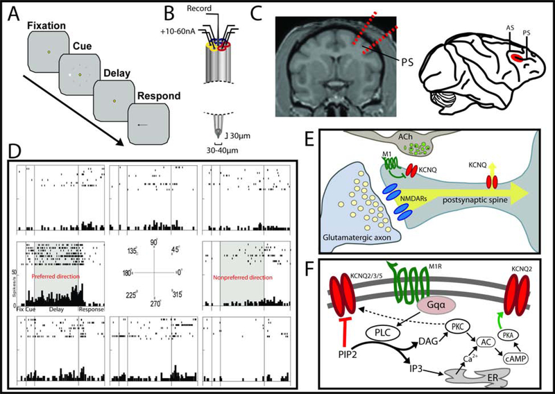 Figure 1: