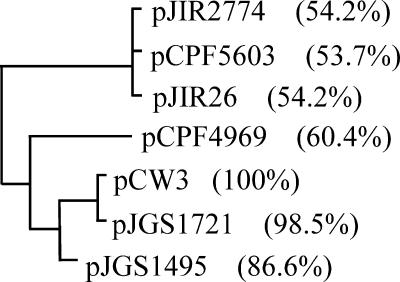 FIG. 4.