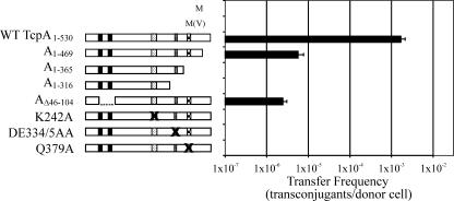 FIG. 5.