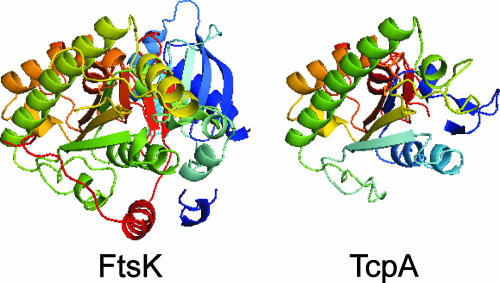 FIG. 2.