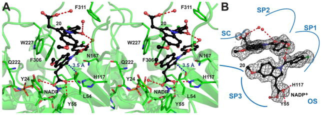 Figure 6