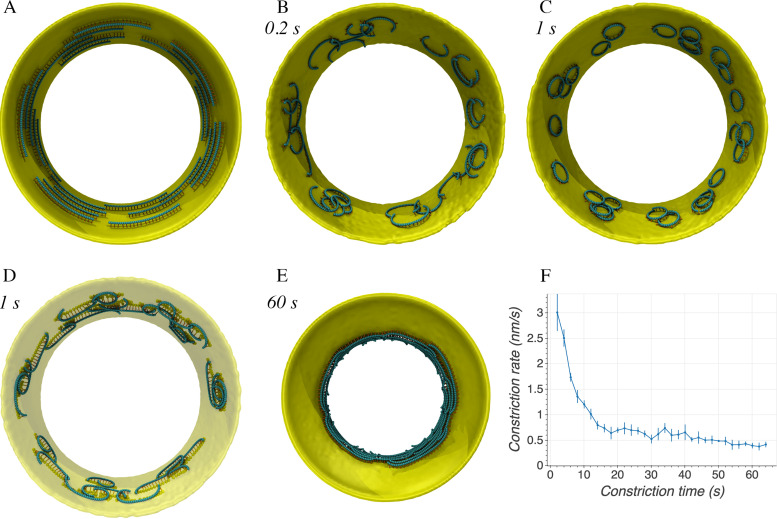 FIG 3