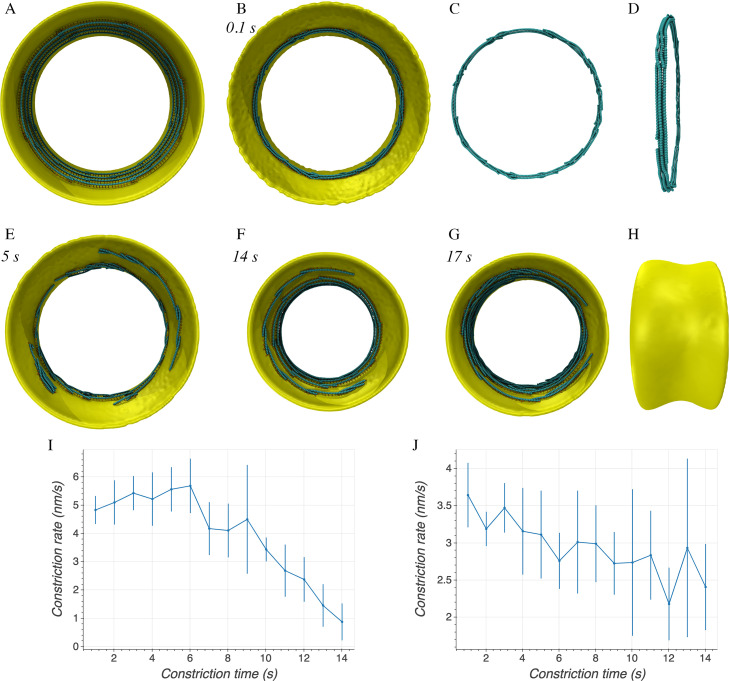 FIG 2