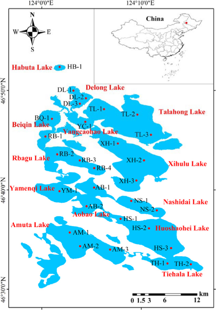 FIGURE 1