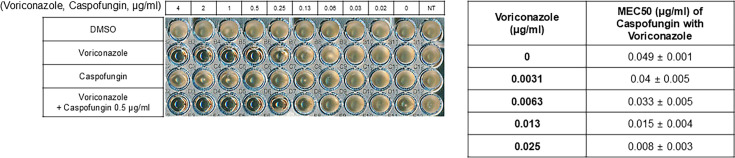 Figure 6: