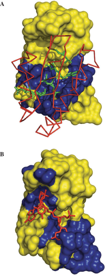 Figure 2.