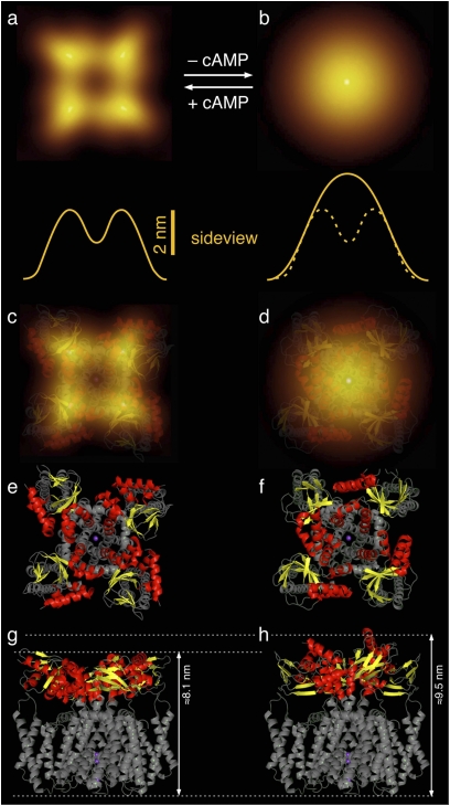 Fig. 4.