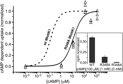 Fig. 2.