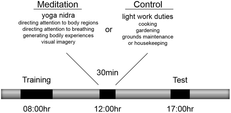 FIGURE 1