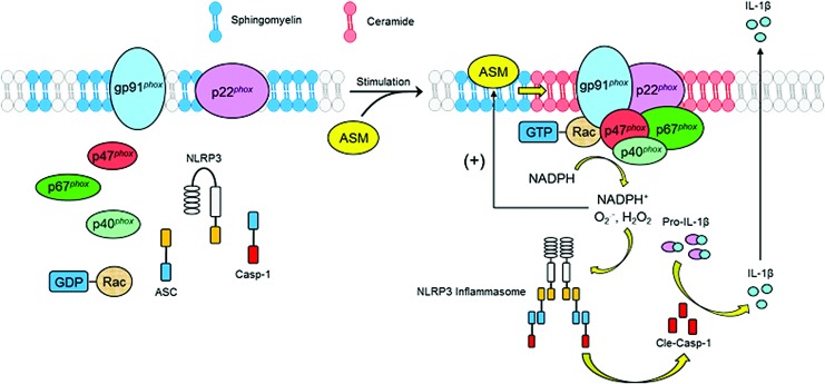 FIG. 3.