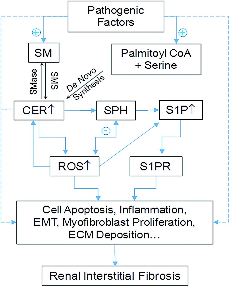 FIG. 7.