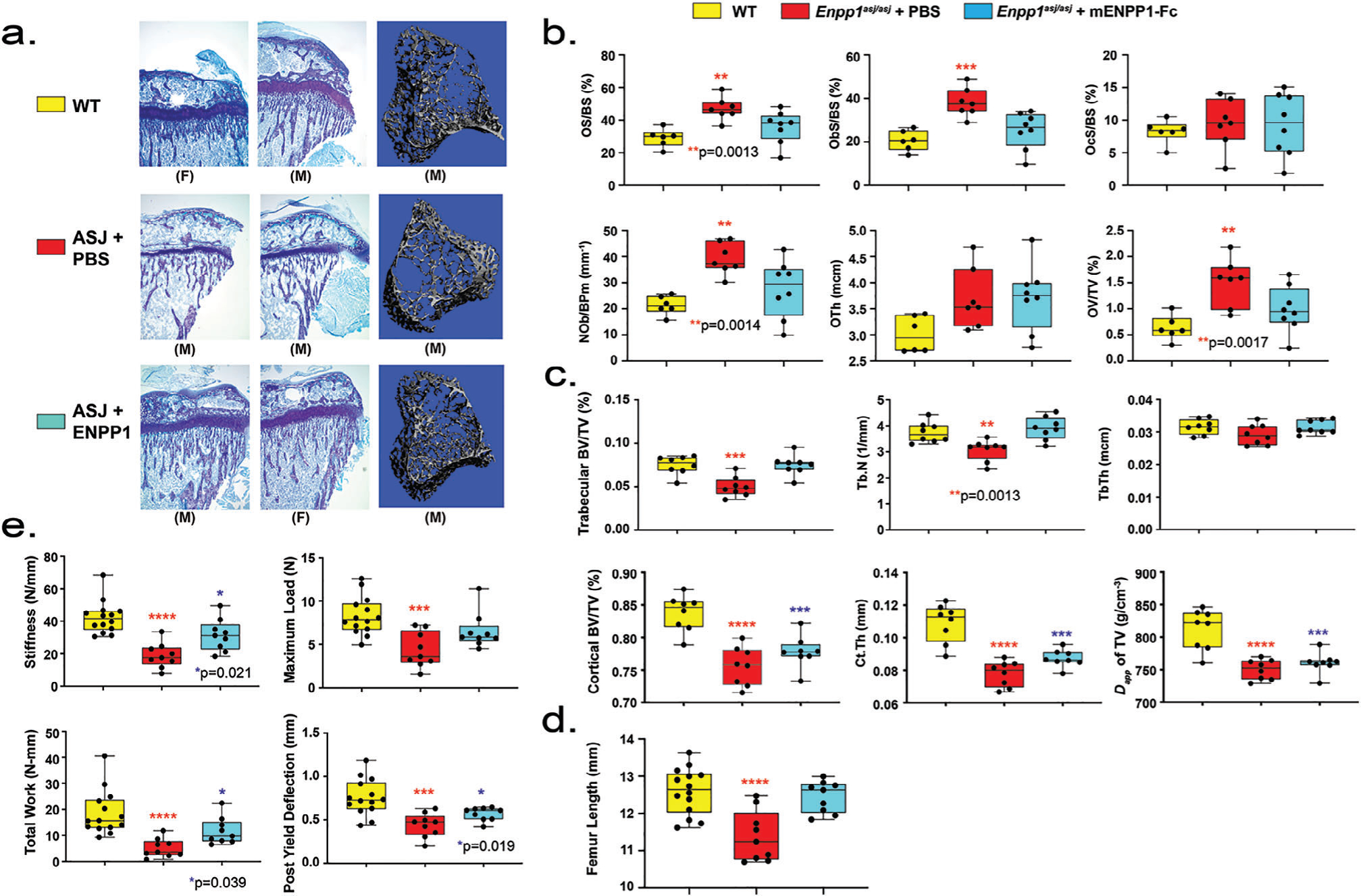 Fig 4.