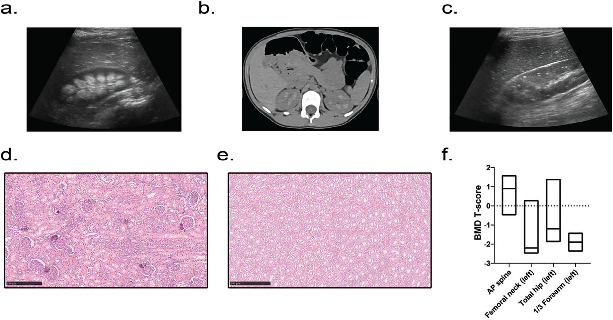 Fig 1.