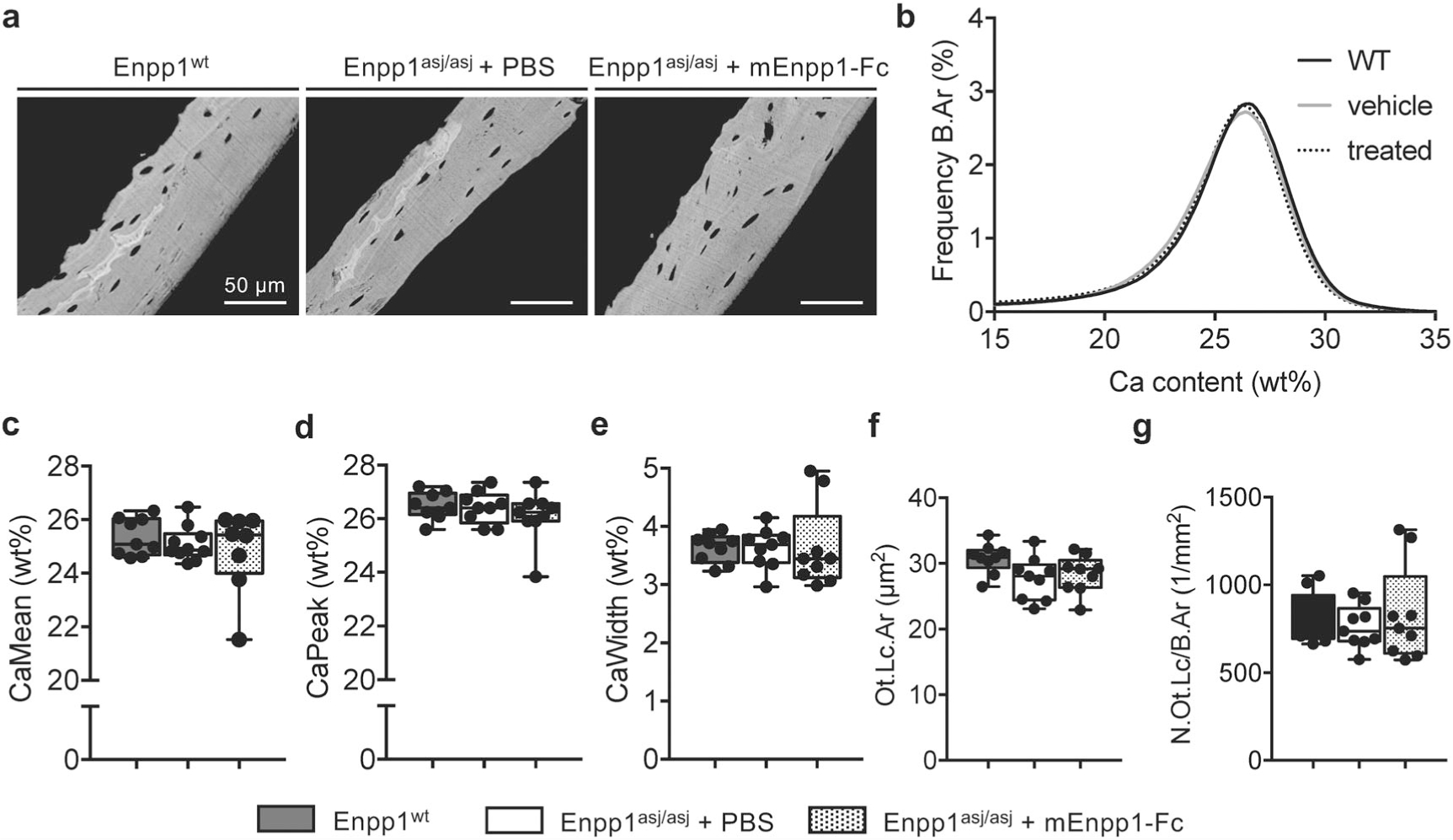 Fig 6.