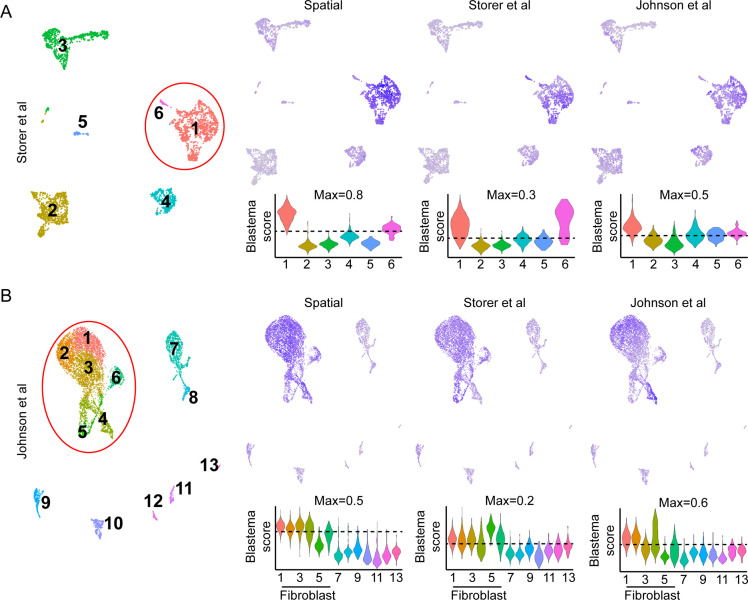 Figure 1—figure supplement 3.