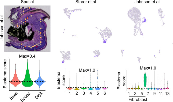 Figure 1—figure supplement 2.