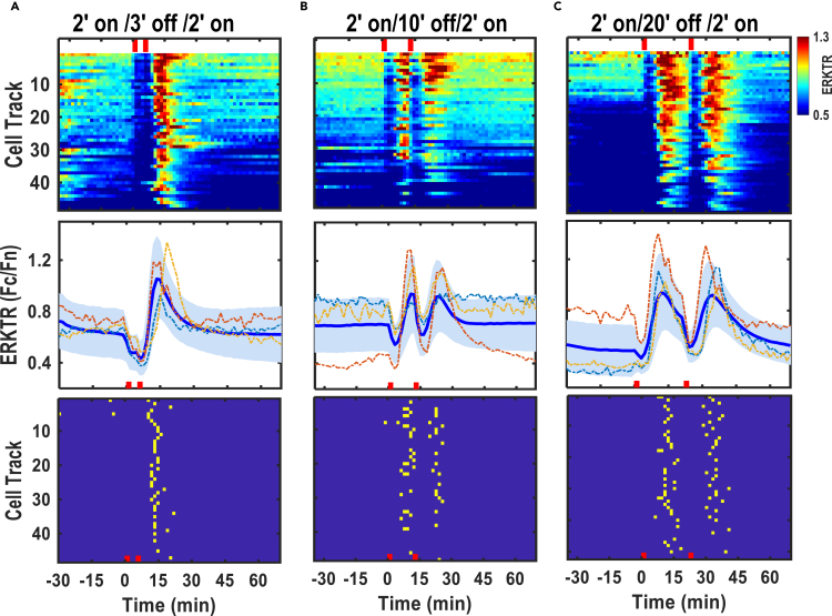 Figure 4