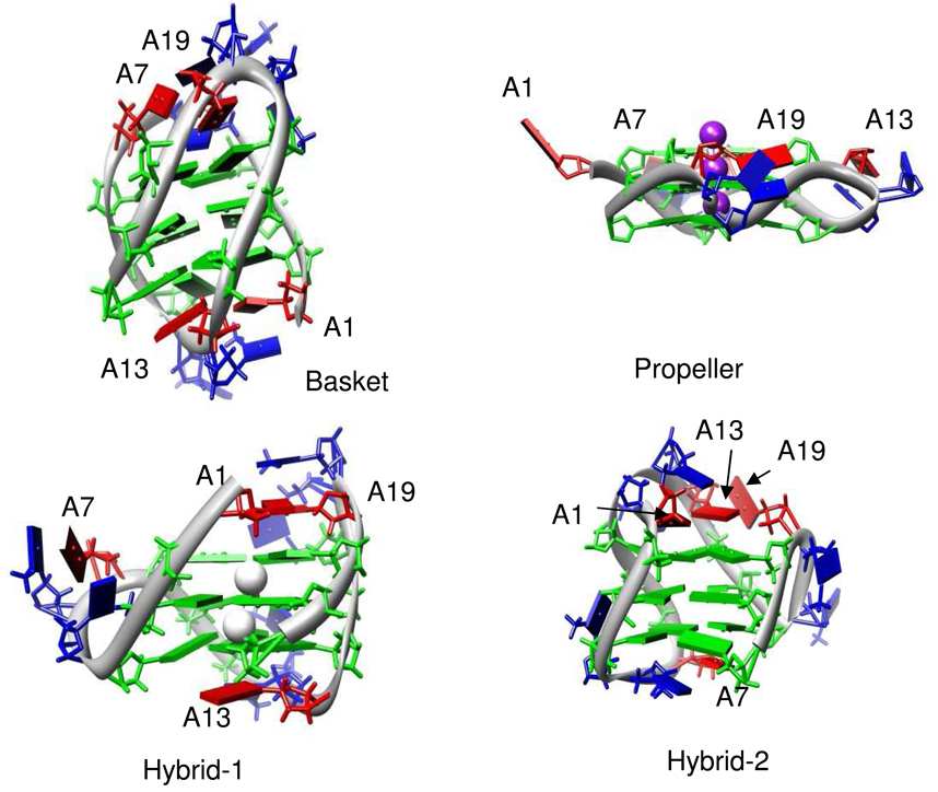 FIGURE 1